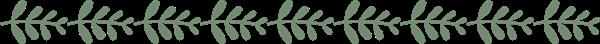石家莊平安醫(yī)學(xué)中等專業(yè)學(xué)校地址在哪？