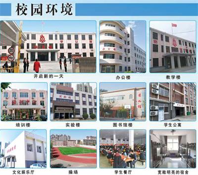 河北省交通職業(yè)技術(shù)學校有郵輪乘務管理專業(yè)嗎？  