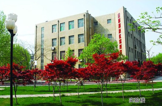 淄博市工業(yè)學(xué)校開設(shè)哪些計(jì)算機(jī)課程？