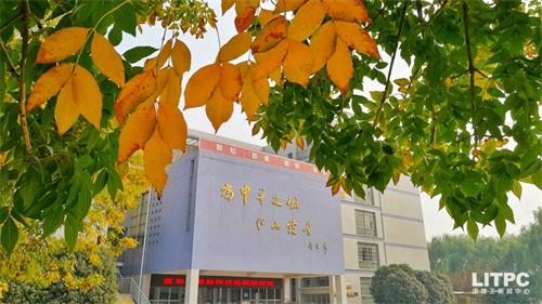 洛陽學(xué)電子商務(wù)去哪里？學(xué)電子商務(wù)去洛陽哪所學(xué)校？