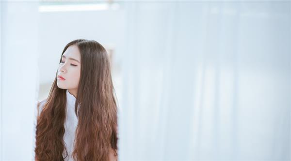石家莊東方學(xué)院都開設(shè)了哪些專業(yè)？