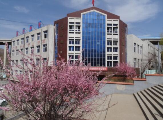 承德通達中等專業(yè)學(xué)校國際商務(wù)專業(yè)是留學(xué)專業(yè)嗎？