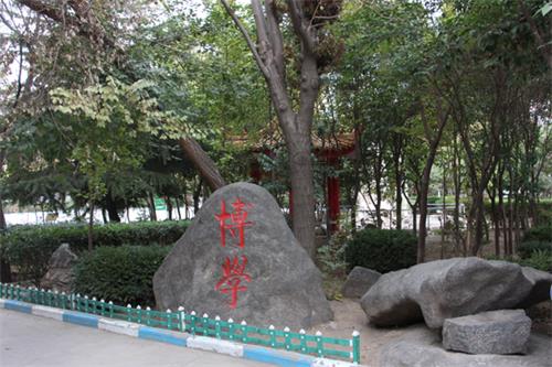  山東人民專修學(xué)院怎樣安排學(xué)生就業(yè)？