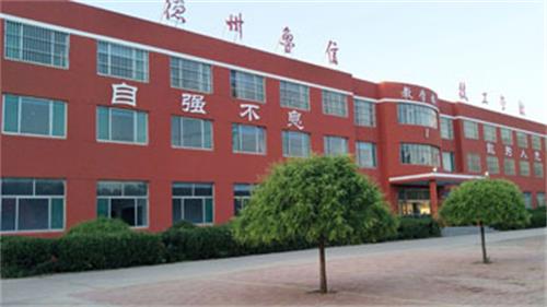 山東德州魯信通懋職業(yè)技工學(xué)校就業(yè)情況怎么樣？