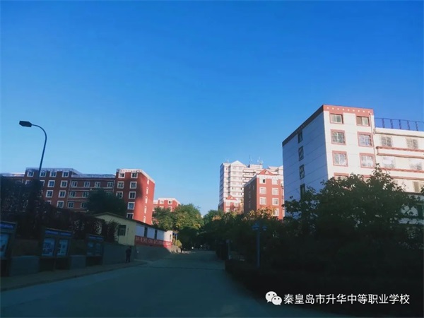 學(xué)習(xí)電子商務(wù)專業(yè)畢業(yè)后有哪些就業(yè)方向？