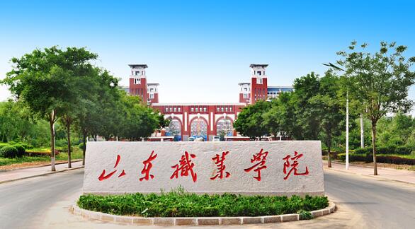 山東職業(yè)學(xué)院有哪些教學(xué)成果？