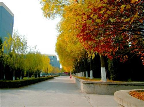 北京現(xiàn)代體育學(xué)院、航空乘務(wù)學(xué)院設(shè)施好嗎？