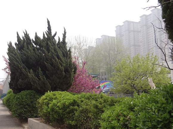 煙臺(tái)天虹學(xué)院怎么樣？
