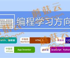 孩子為什么要盡早學習少兒編程。濟寧蘑菇云少兒編程
