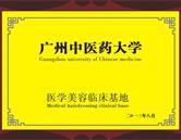 榮譽資質(zhì)