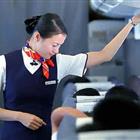 航空服務(wù)（票務(wù)、安檢方向）、航空乘務(wù)定向委培