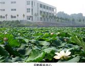 鄭州澍青醫(yī)學(xué)高等?？茖W(xué)校